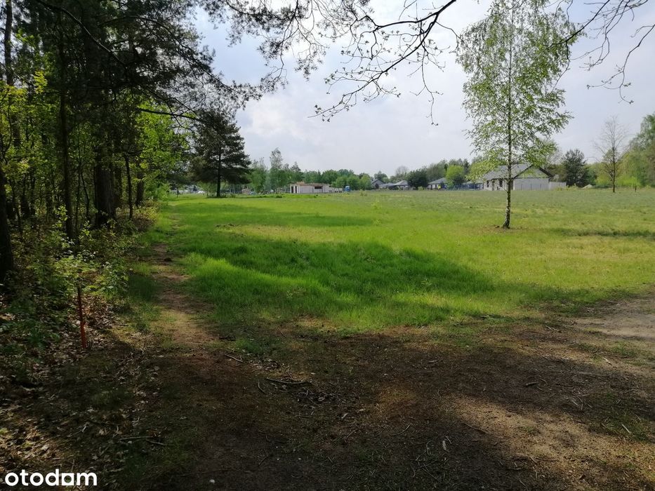 Przepiękna działka budowlana 1901m² Osowiec - Widok 4