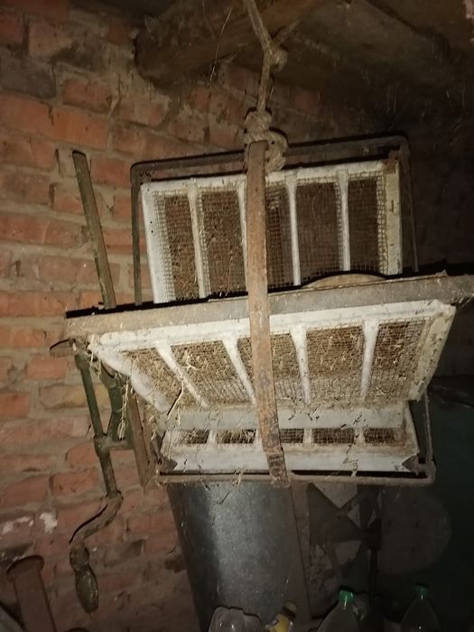 Медогонка радянська