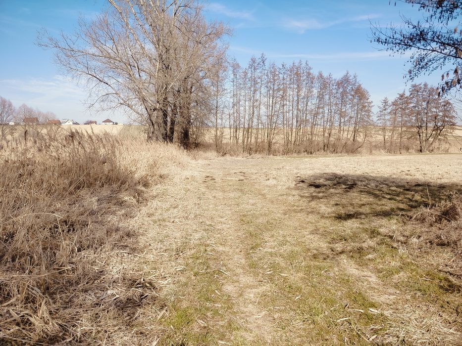 Grunty rolne 3,65 ha