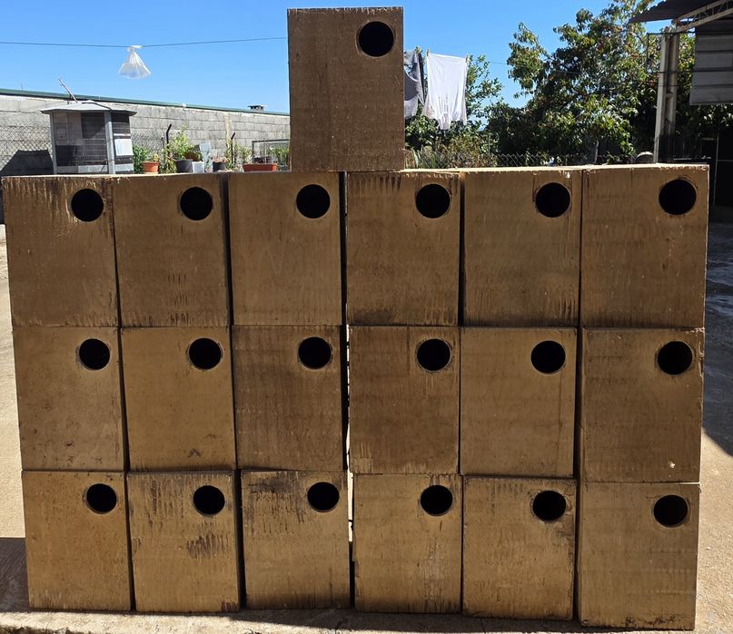Ninhos usados em bom estado