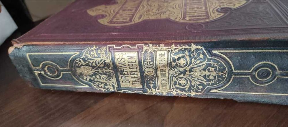 Stara niemiecka książka z 1878 r Brehms Thierleben