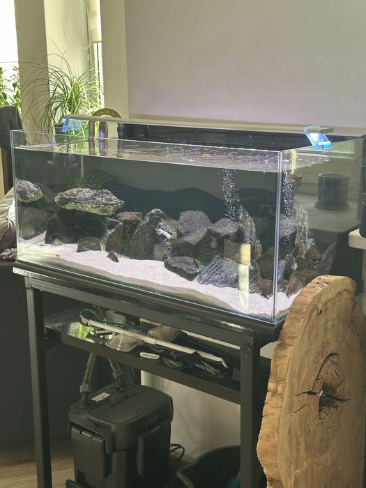 Akwarium 100 l optiwhite zestaw kompet