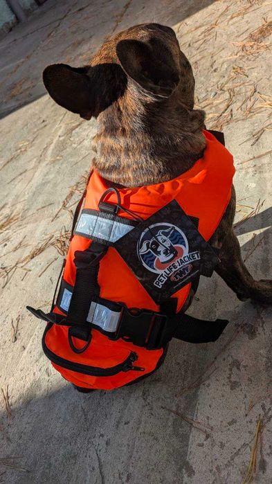 Жилет для собаки