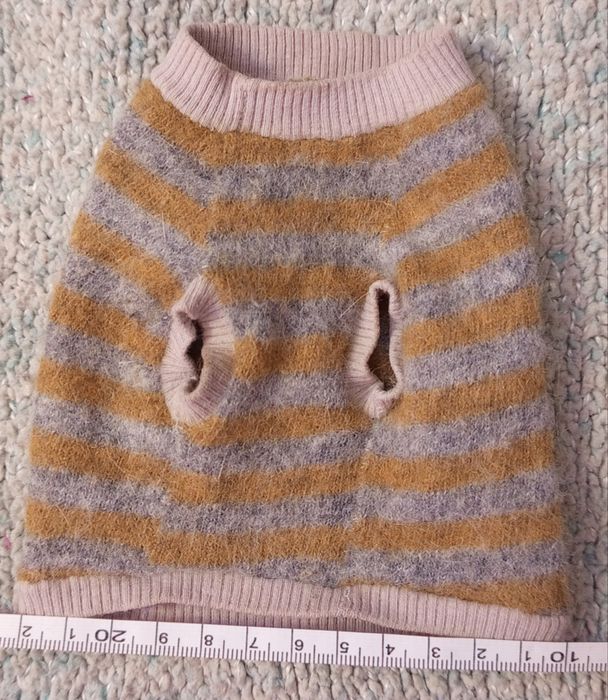 Одежа  на кошеня сфінкс або тойтер'єр светр кофта