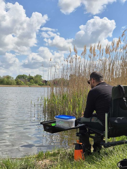 Robaki Własna hodowla dendrobeny zestaw 400szt