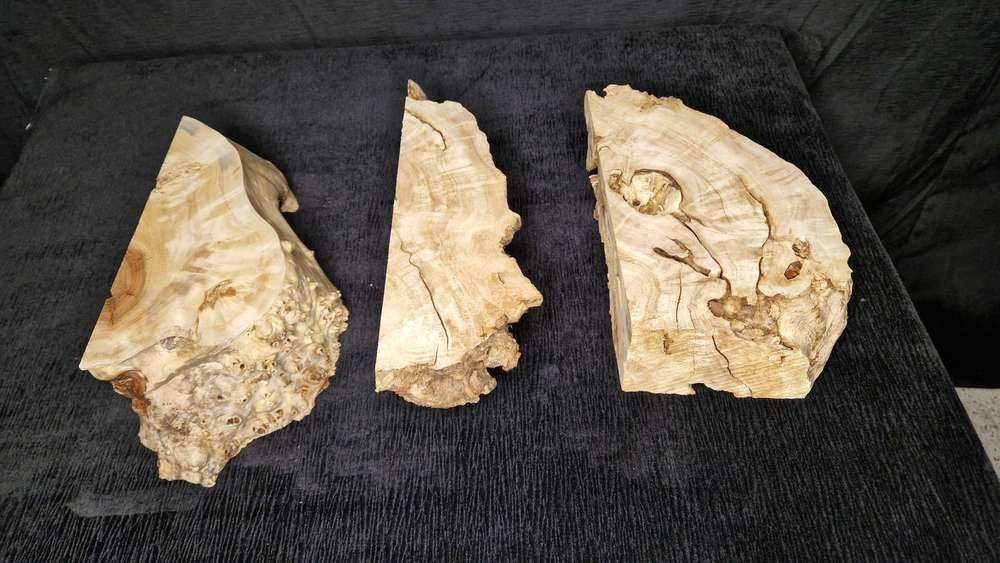 SET8 2,17 kg = 3 szt. guzy czeczoty z kolcami pod żywicę forma