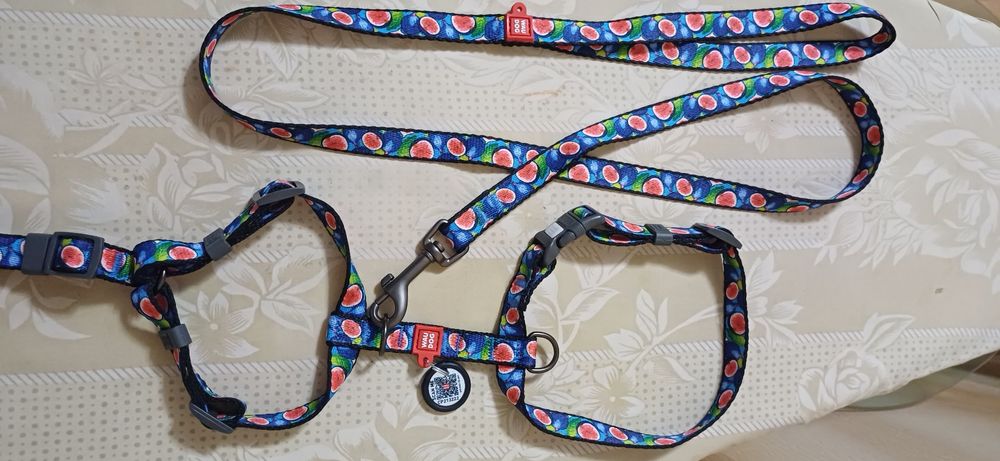 Новая шлея и поводок WAUDOG с QR кодом