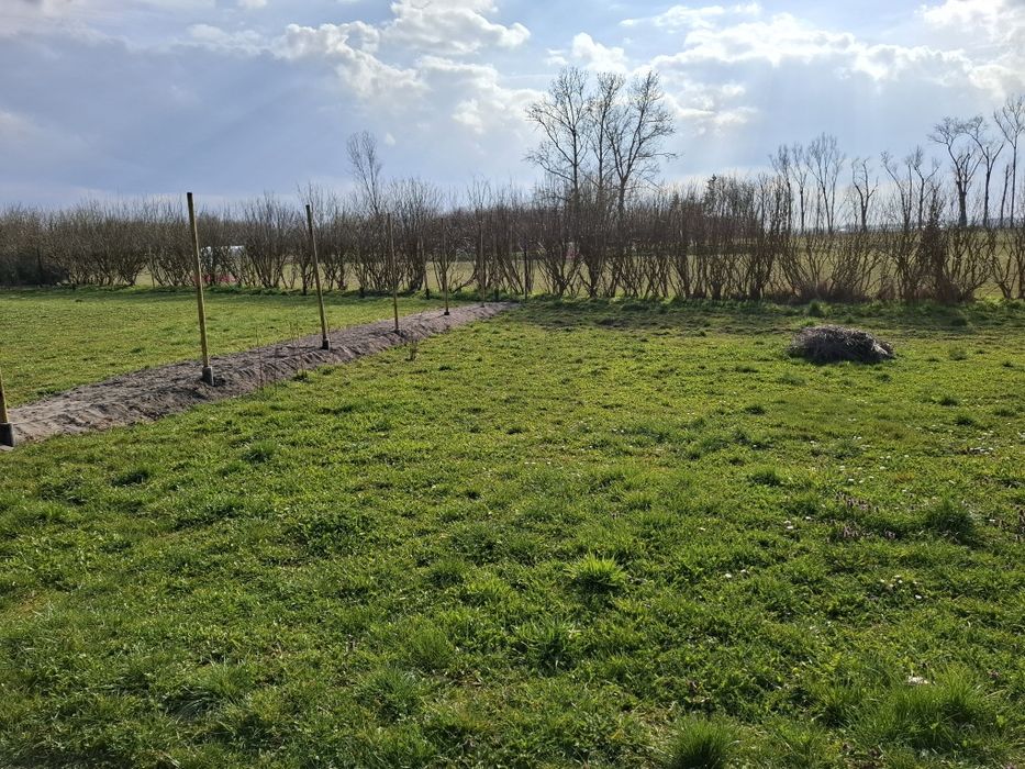 Sprzedam ogródek działkowy
