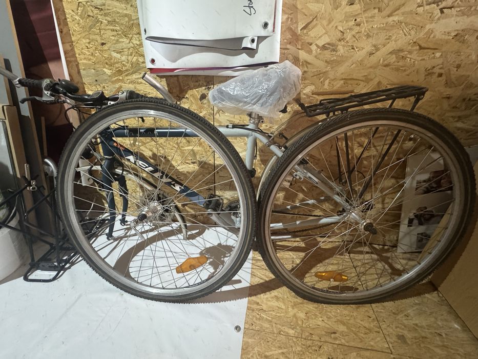 Kelly’s lagoon stan bdb