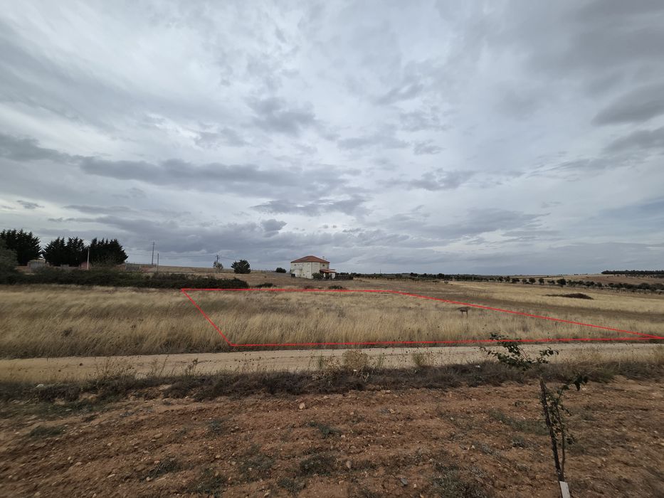 Terreno em sendim