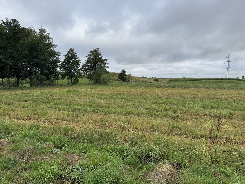 Działka 5130 m² z WZ – Kłębowo, 6 km od Lidzbarka