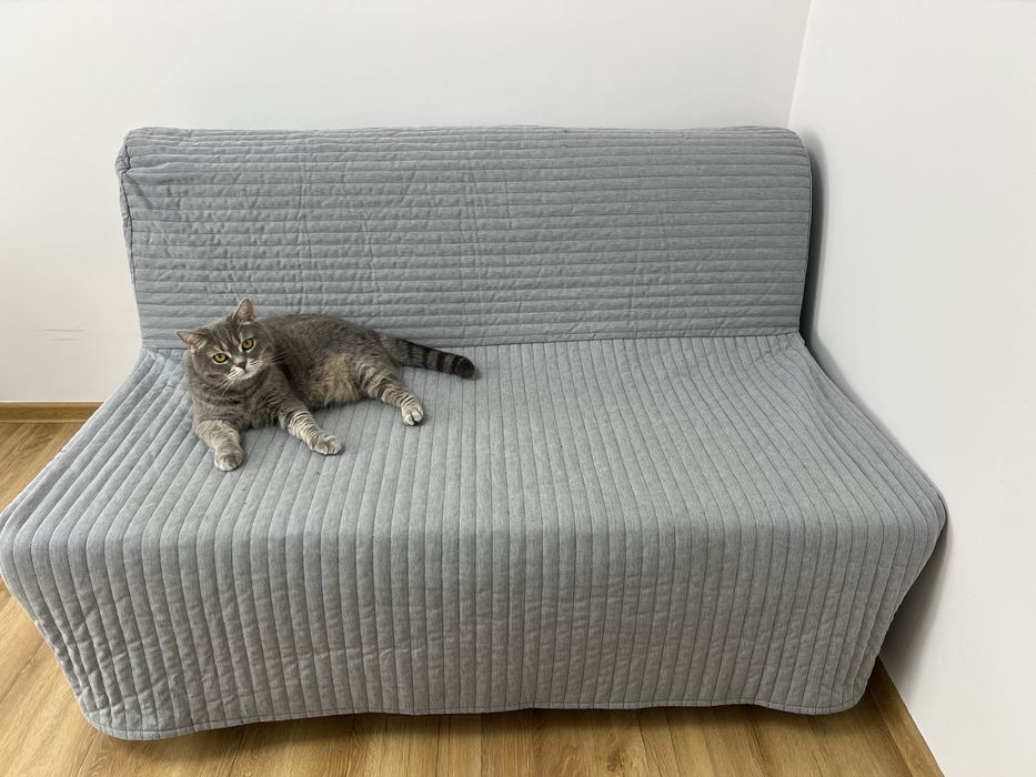 Sofa 2-osobowa, rozkładana, Knisa jasnoszary