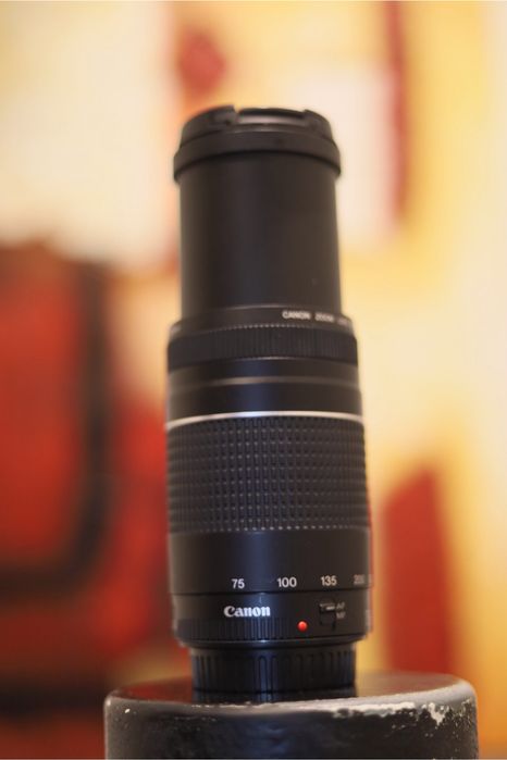 Vendo lente da Canon EF 75-300mm f/4-5.6 iii