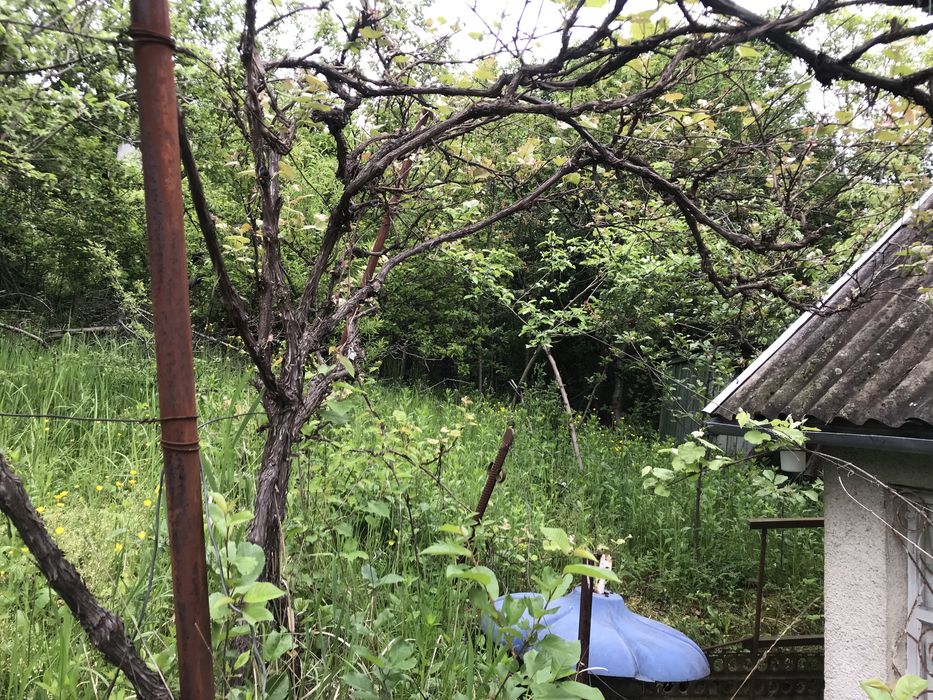 Ділянка з будинком