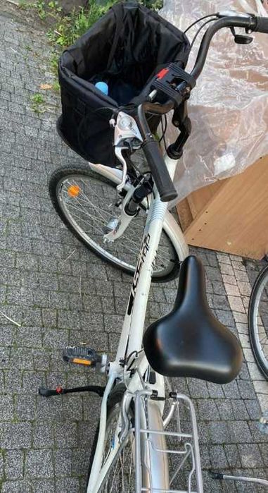 Transporter psa kota na rower kosz rowerowy duży pojemny