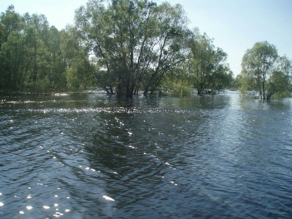 Продам участок біля Дніпра