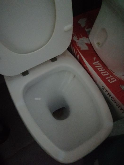 Sanita com autoclismo mochila