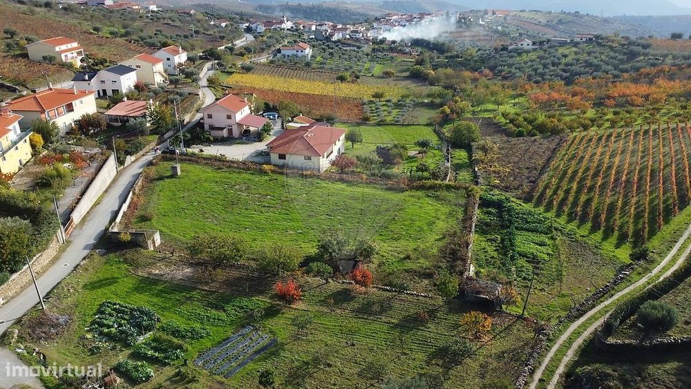 Terreno  para venda — São João Da Pesqueira E Várzea De Trevões, Viseu