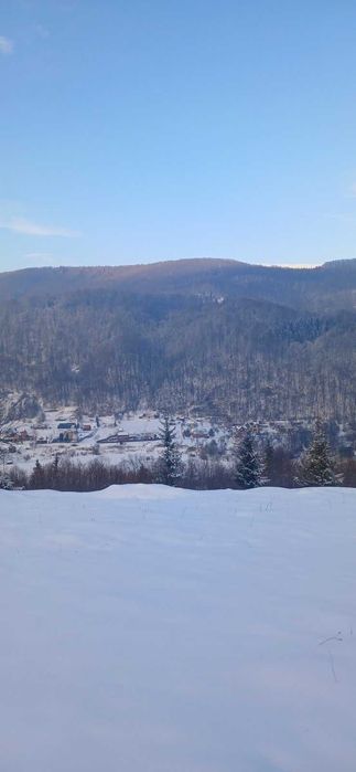 Продаю унікальну ділянку в Шешорах. 910 соток