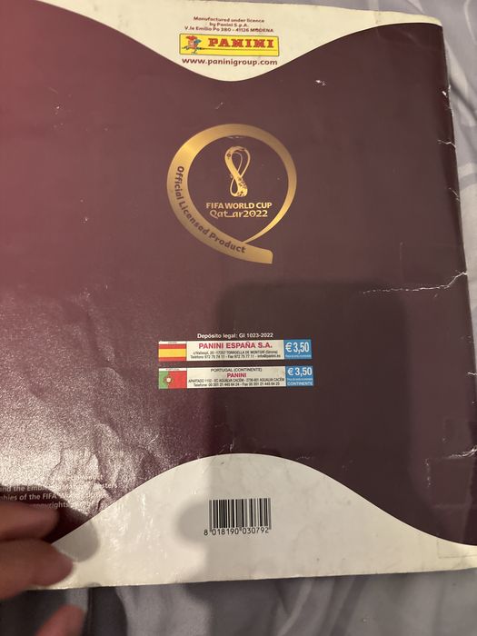 Copa do mundo 2022