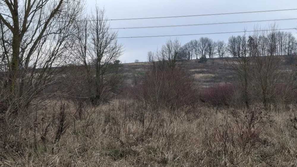 Продам ділянку під базу відпочинку Передмістя Василькова 17Га