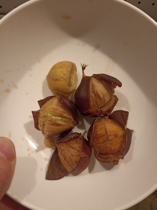 Kasztany jadalne tegoroczne 2kg