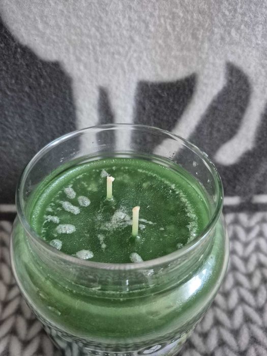 Duża, nowa świeca Rooftop Garden Goose Creek Candle