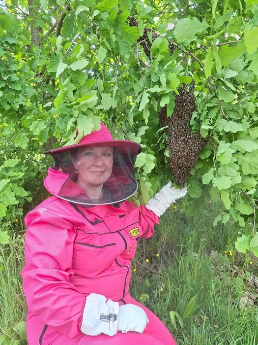 Miód wielokwiatowy z własnej pasieki.