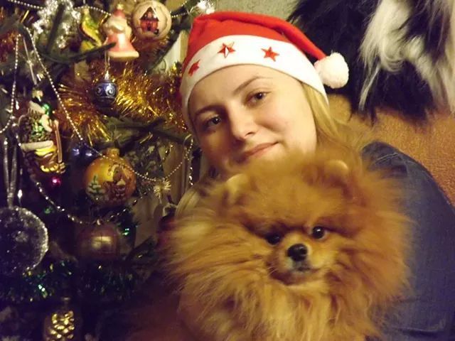 Вязка Шпиц любимый