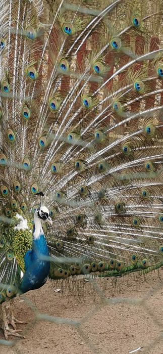 noclegi,wczasy,wakacje,Puszcza Notecka,jezioro,las,grzyby ,ryby