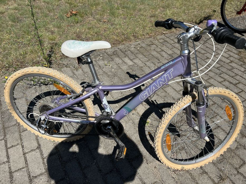 Rower dziecięcy GIANT