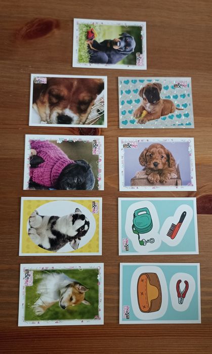 Cromos panini, Puppies And Me.