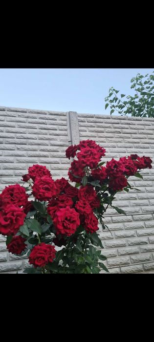 Продам будинок в місті Підгородне