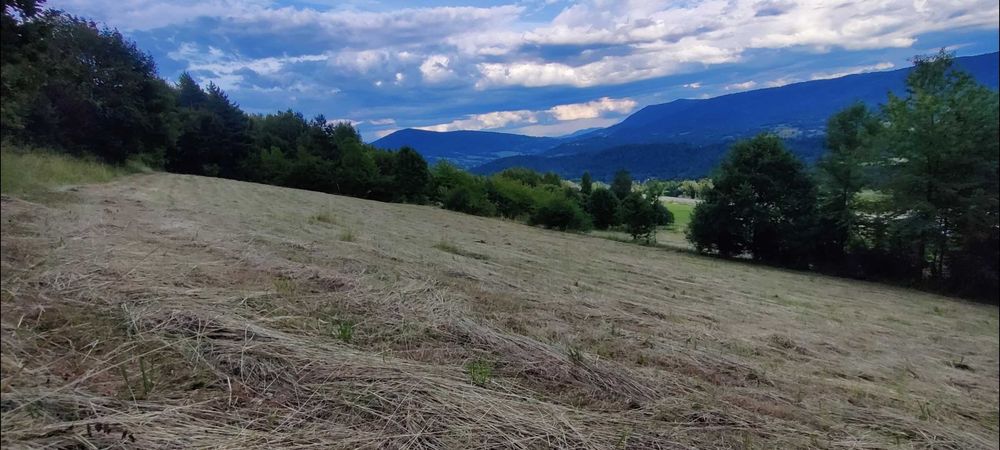 Widokowa działka rolna 31,69 ar – Krzeczów, gm. Lubień. Okazja! - Widok 4