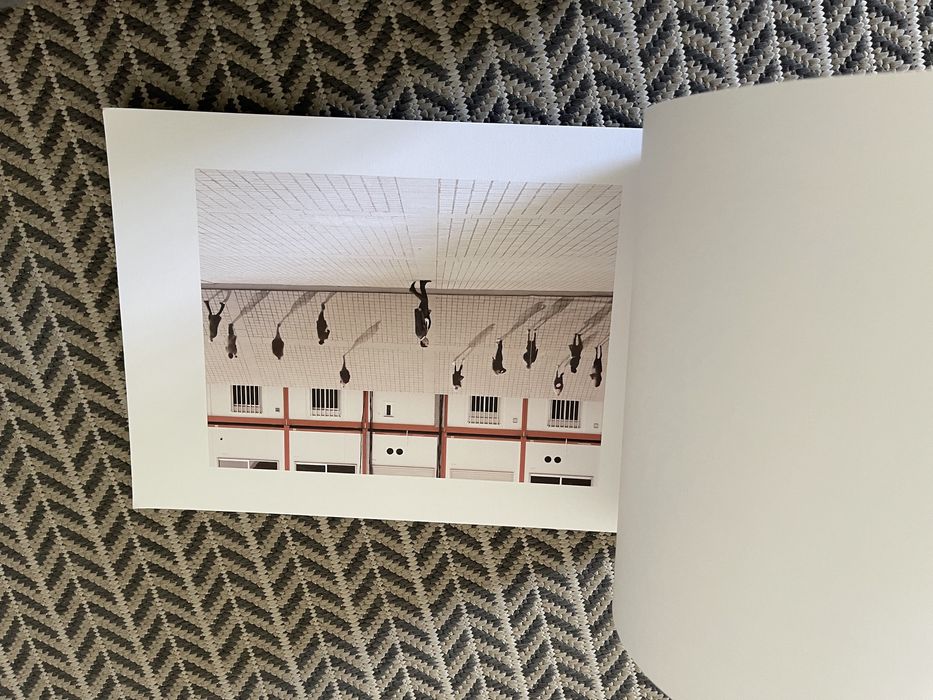 Livro de fotografia do fotógrafo brasileiro Lenci Desaudio