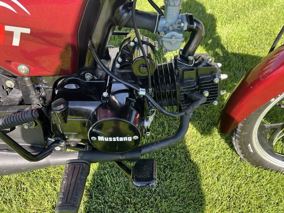 Musstang Alfa FiT MT125-8