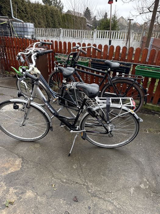 Rower holenderski Gazelle Giant Kuga