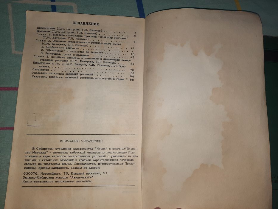 Вайдурья-Онбо и Дзейцхар Мигчжан памятник и трактат тибетской медицины