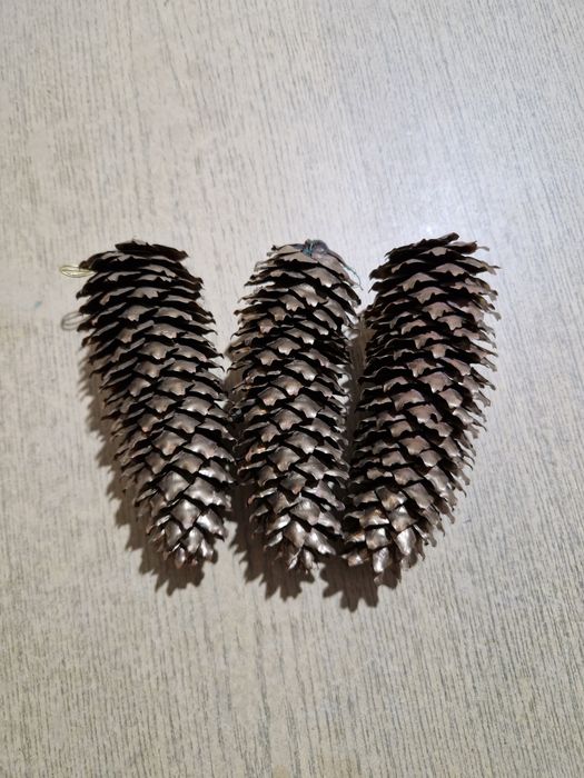 Szyszki naturalne lekko złocone