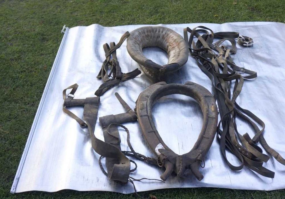 stara uprząż końska