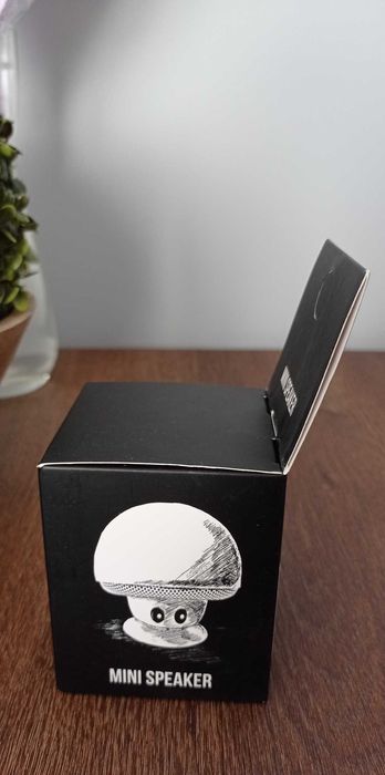 Głośnik Bluetooth