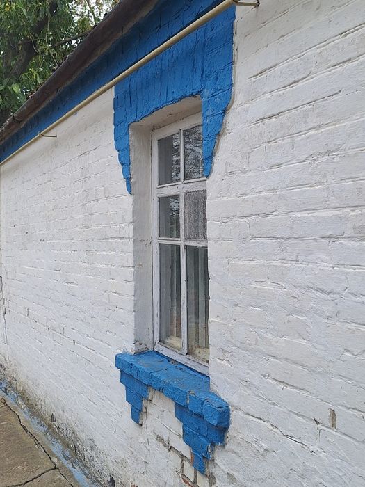 продаж будинку в с Дмитрушки