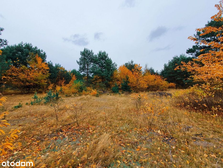 Działka budowlana blisko Jeziora Białego – Antoninów, gm. Gostynin - Widok 2