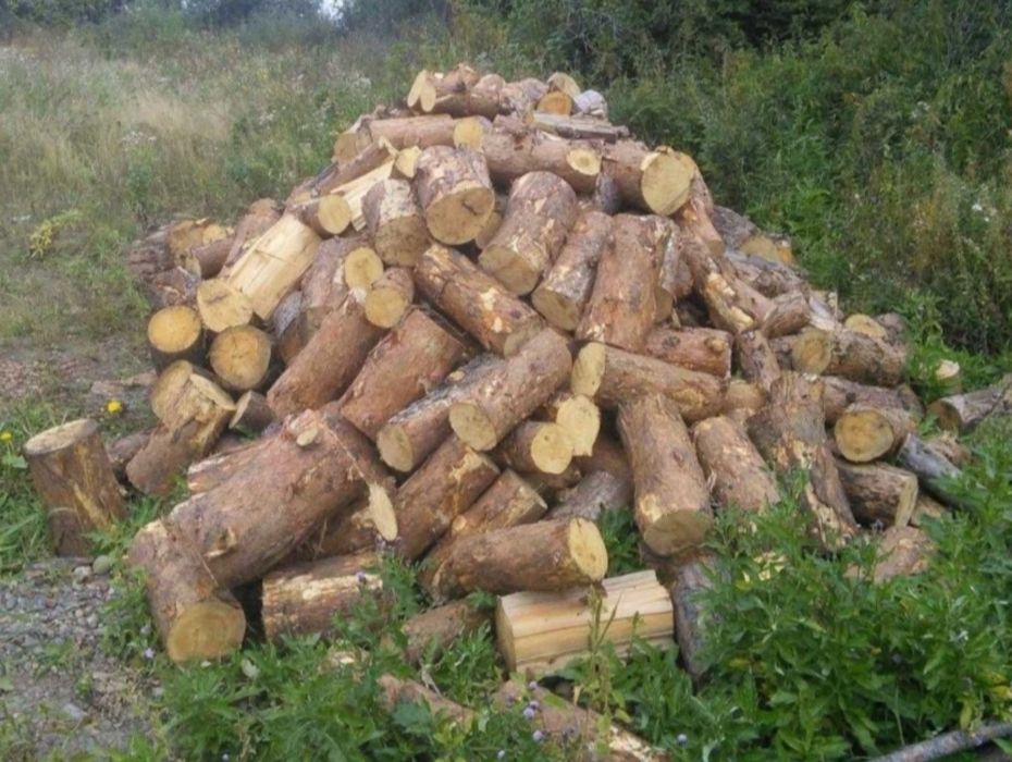 Дрова дрова дрова