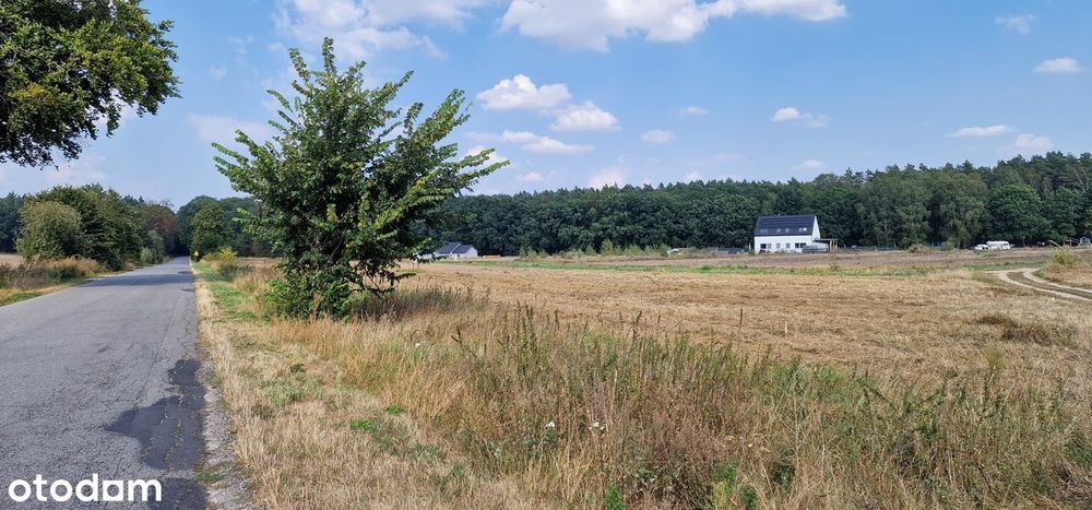 Swobnica działka nad jeziorem świetna lokalizacja - Widok 4