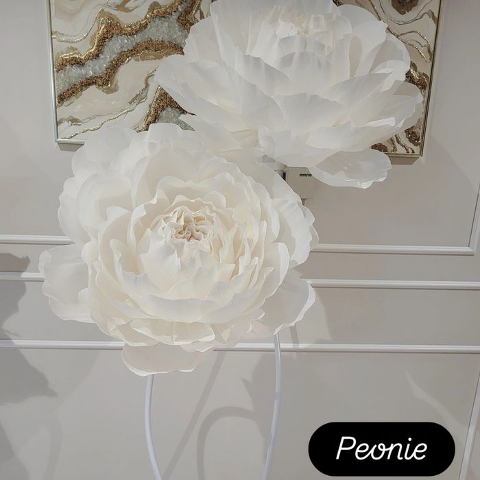 Kwiaty giganty Peonie