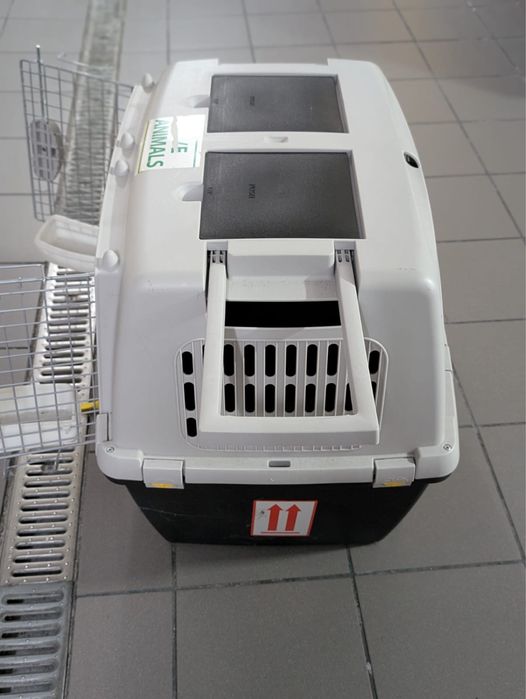 Caixa transportadora para  animais de grandes dimensoes