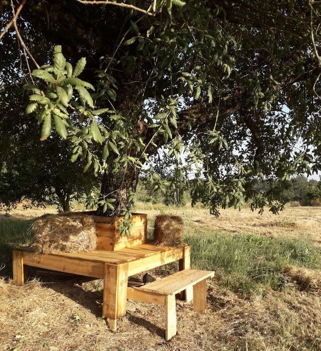 Tenda Vango Colorado com muito conforto