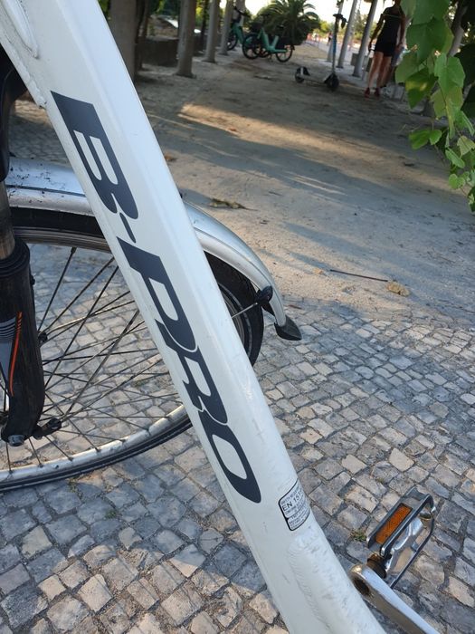 Bicicleta electrica
