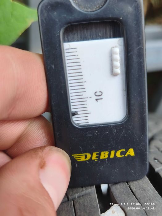 Dębica navigators 3 + alufelgi Renault